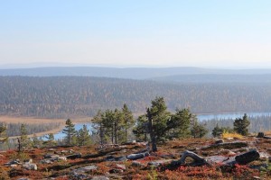 Maisemaa Sallatunturin huipulta